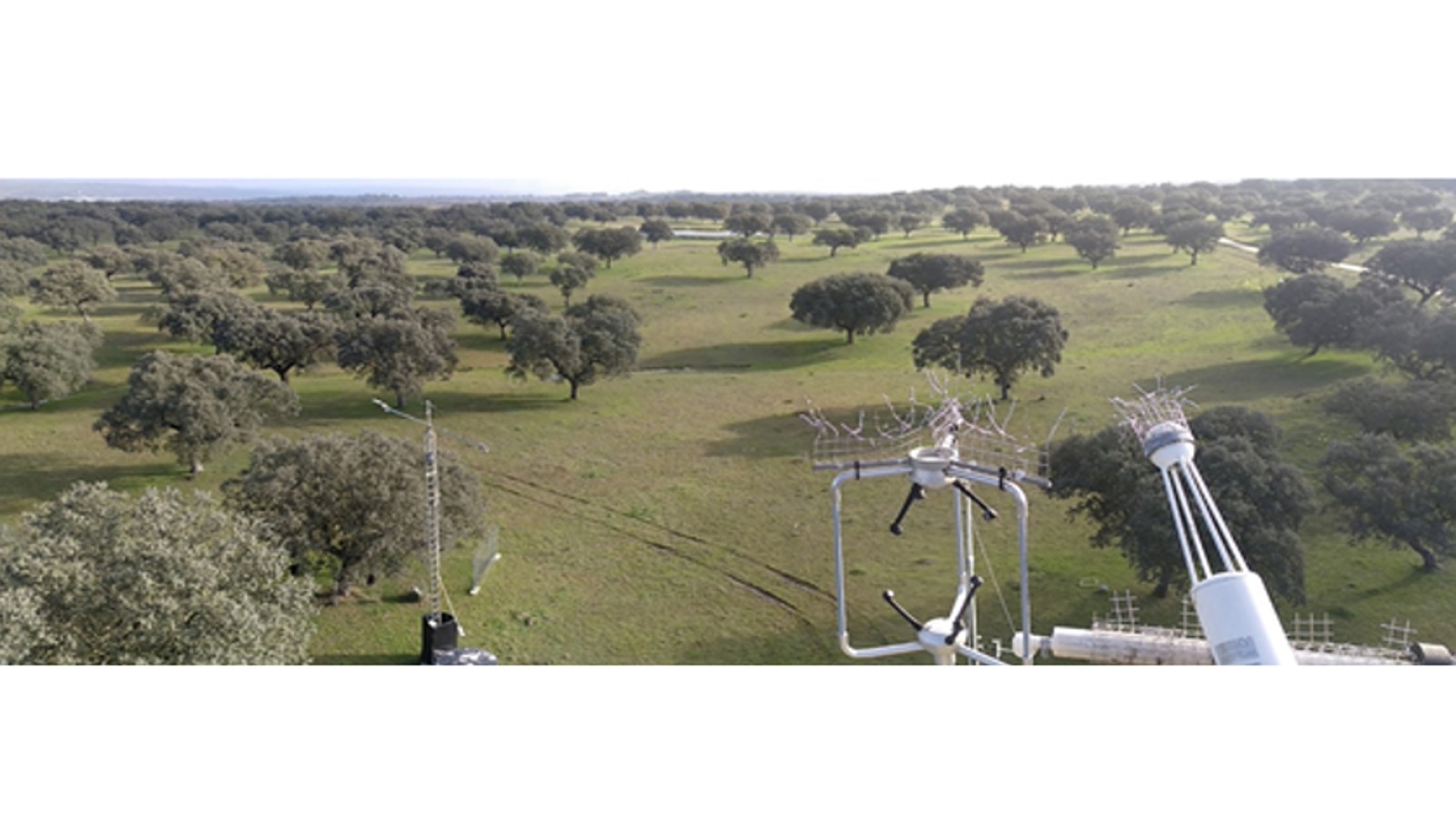 CanOA-SOOP and Majadas de Tiétar complete the ICOS-ERIC certification process - featured image